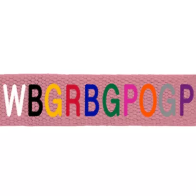 Product Coastal Pet Products Personalized Eco-Friendly Dog Collar