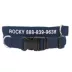 Coastal Pet Products Personalized Eco-Friendly Dog Collar image thumbnail 1