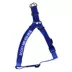 Coastal Pet Products Comfort Wrap Personalized Dog Harness image thumbnail 1