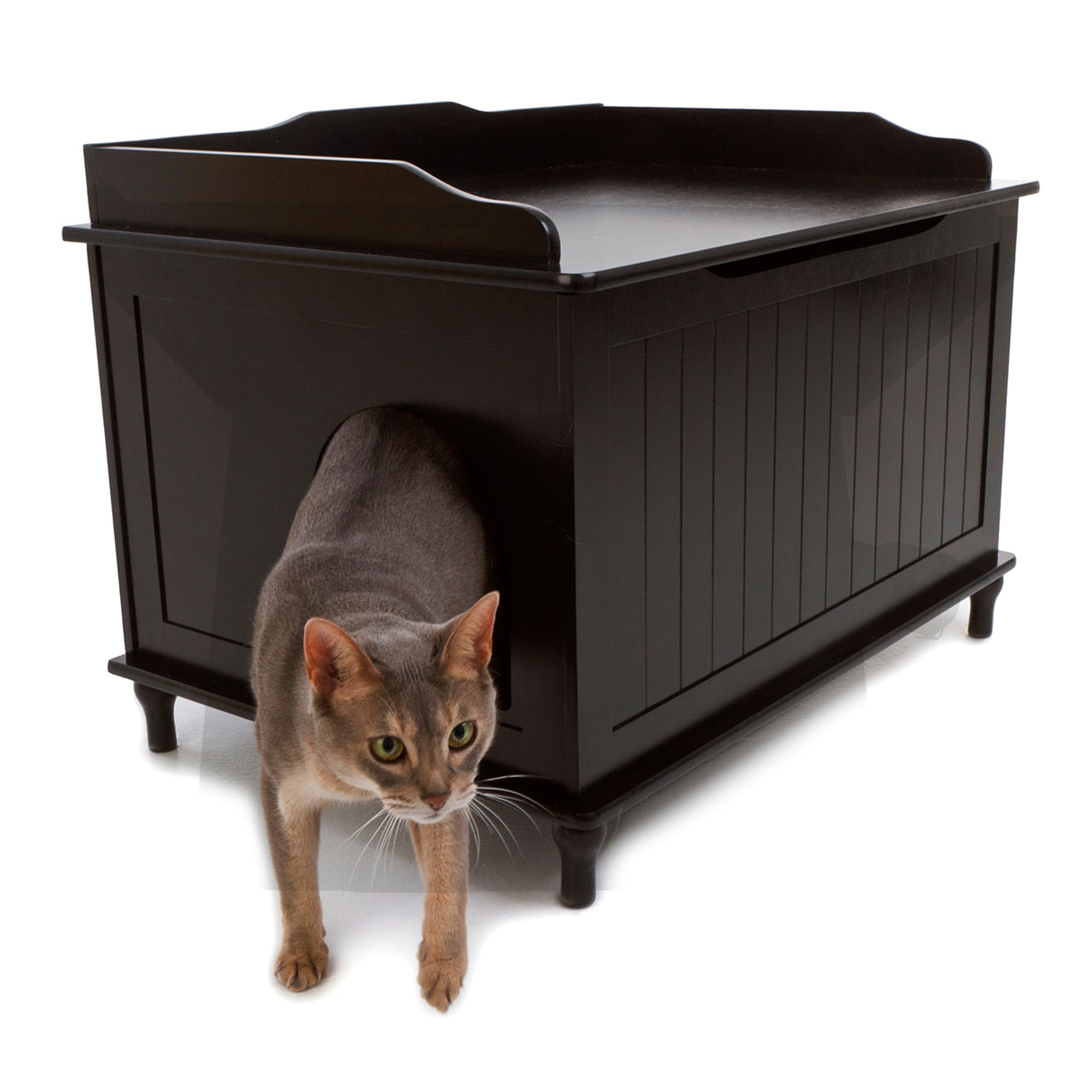 Designer Catbox Cat Litter Box Enclosure Cat Litter Boxes Petsmart
