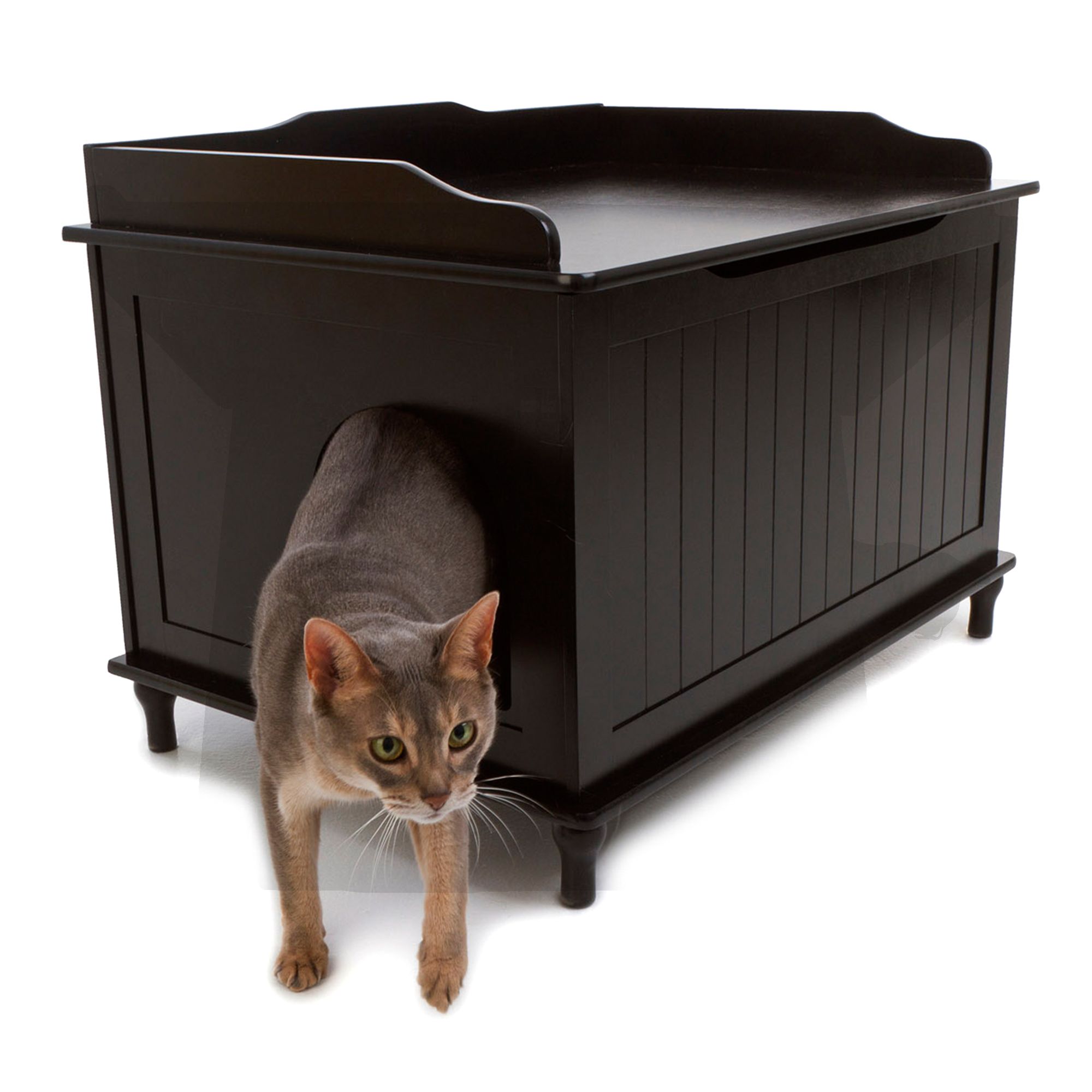 litter box box