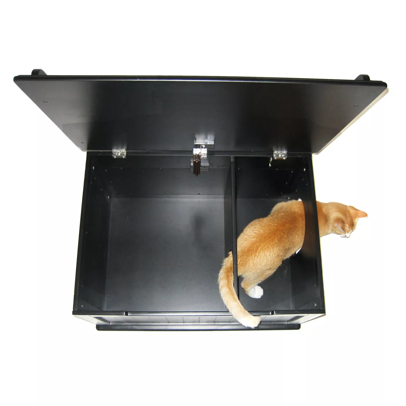 Designer Catbox Cat Litter Box Enclosure