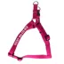 Coastal Pet Products Comfort Wrap Personalized Dog Harness image thumbnail 1