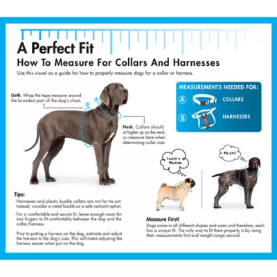 Coastal Pet Products Comfort Wrap Personalized Dog Harness - Image 3