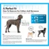 Coastal Pet Products Comfort Wrap Personalized Dog Harness image thumbnail 3