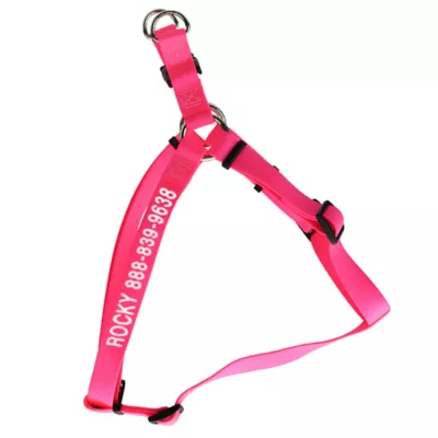 Coastal Pet Products Comfort Wrap Personalized Dog Harness - Image 1