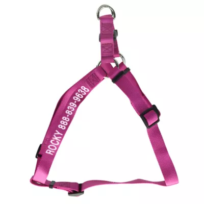 Coastal Pet Products Comfort Wrap Personalized Dog Harness - Image 1