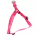 Coastal Pet Products Comfort Wrap Personalized Dog Harness image thumbnail 1