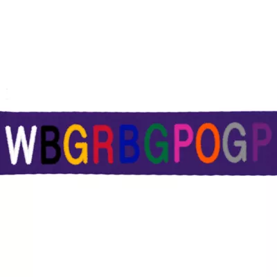 Coastal Pet Products Comfort Wrap Personalized Dog Harness - Image 2