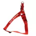 Coastal Pet Products Comfort Wrap Personalized Dog Harness image thumbnail 1