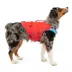 Kurgo® Surf n' Turf Dog Life Jacket - Dog PFD - Reflective - Adjustable - Chili Red image thumbnail 1