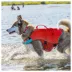 Kurgo® Surf n' Turf Dog Life Jacket - Dog PFD - Reflective - Adjustable - Chili Red image thumbnail 5
