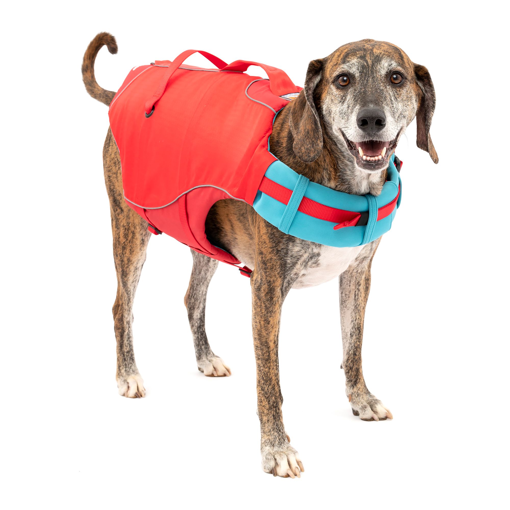 Petsmart dog 2025 life jacket