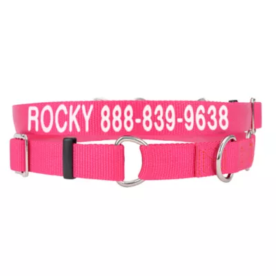 Product Coastal Pet Products Personalized Martingale Dog Collar
