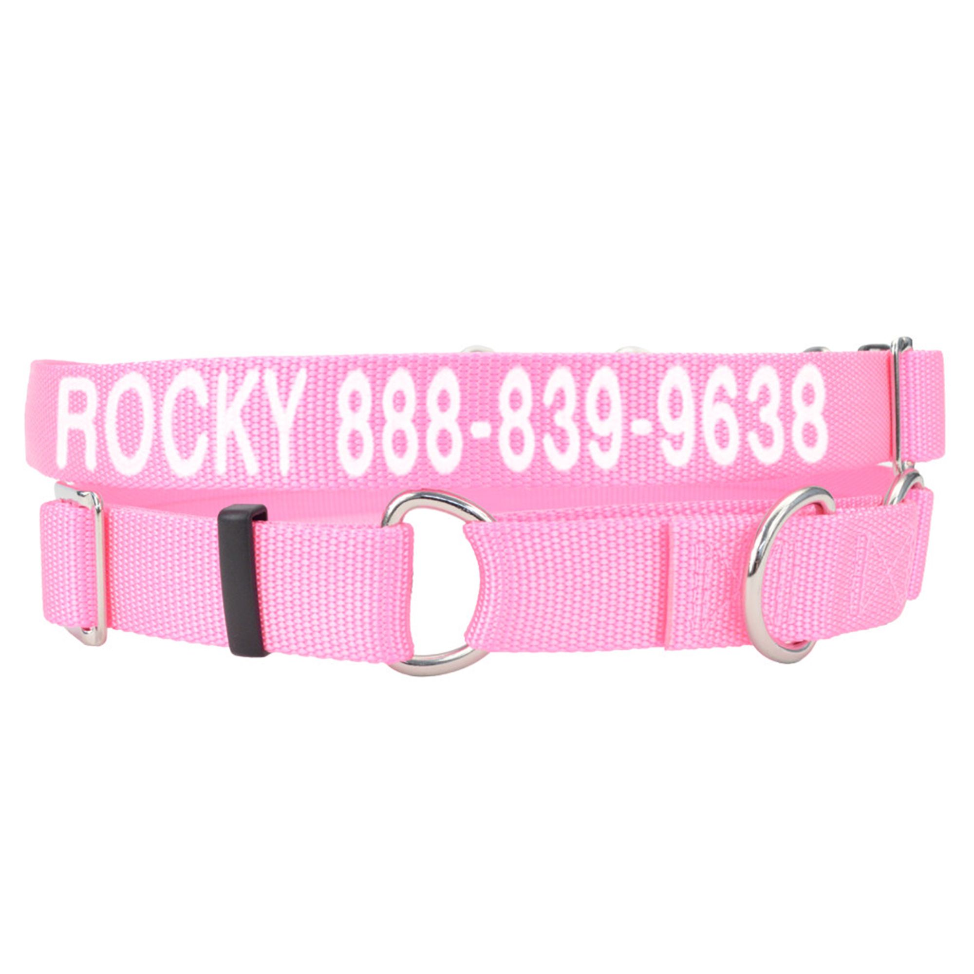 Coastal Pet Products Personalized Martingale Dog Collar in Pink, Size: 14L x 0.75W | Nylon PetSmart