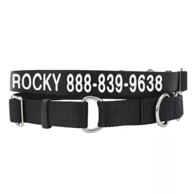 Product Coastal Pet Products Personalized Martingale Dog Collar