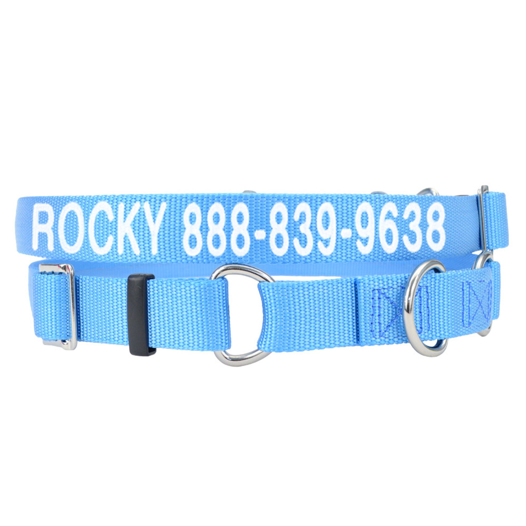 Coastal Pet No Slip Personalized Dog Collar in Light Blue, 3/4 Width
