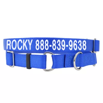 Coastal Pet Products Personalized Martingale Dog Collar - Image 1