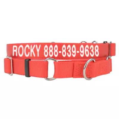 Coastal Pet Products Personalized Martingale Dog Collar - Image 1