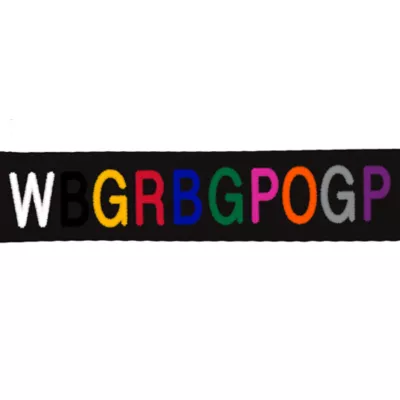 Product Coastal Pet Products Personalized Double Walker Dog Leash: 4-ft long