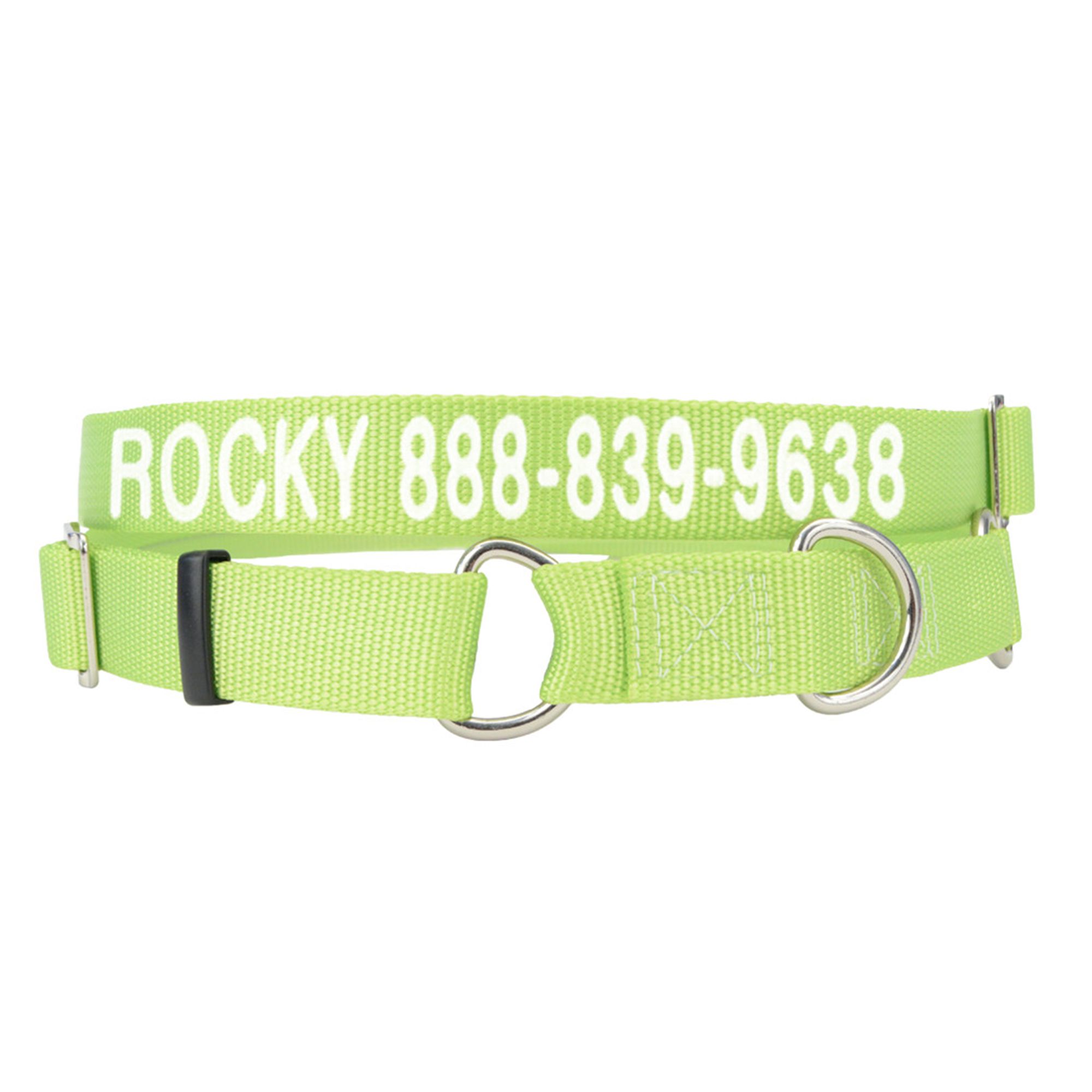 Personalized dog shop collars petsmart