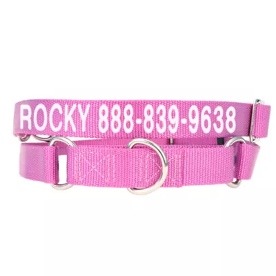 Coastal Pet Products Personalized Martingale Dog Collar - Image 1