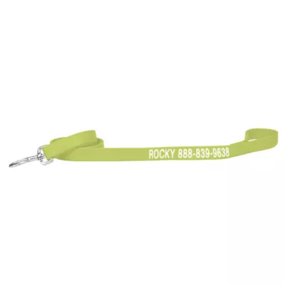 Coastal Pet Products Personalized Double Ply Nylon Dog Leash - Image 1