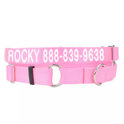 Product Coastal Pet Products Personalized Martingale Dog Collar