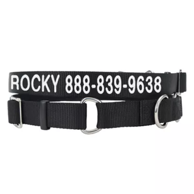 Coastal Pet Products Personalized Martingale Dog Collar - Image 1