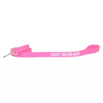Product Coastal Pet Products Personalized Double Ply Nylon Dog Leash