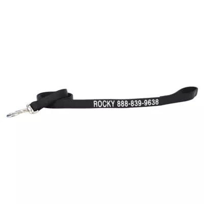 Coastal Pet Products Personalized Double Ply Nylon Dog Leash - Image 1