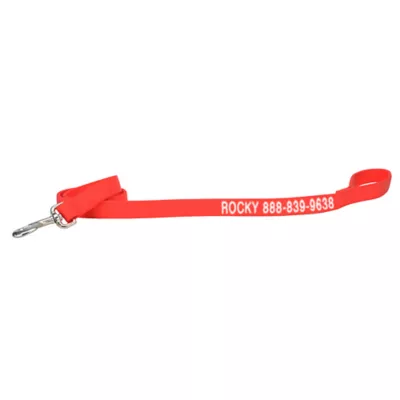 Product Coastal Pet Products Personalized Double Ply Nylon Dog Leash