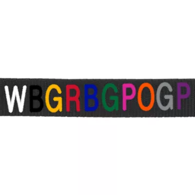Product Coastal Pet Products Personalized Double Ply Nylon Dog Leash