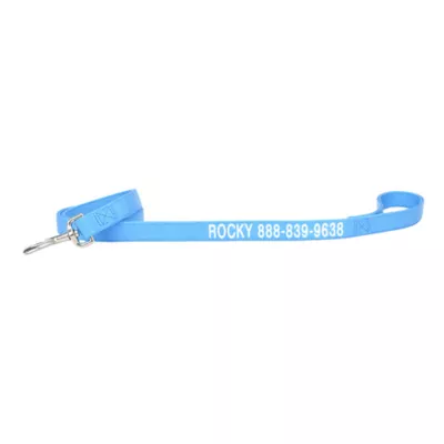 Coastal Pet Products Personalized Double Ply Nylon Dog Leash - Image 1