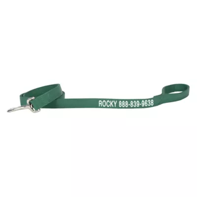 Coastal Pet Products Personalized Double Ply Nylon Dog Leash - Image 1