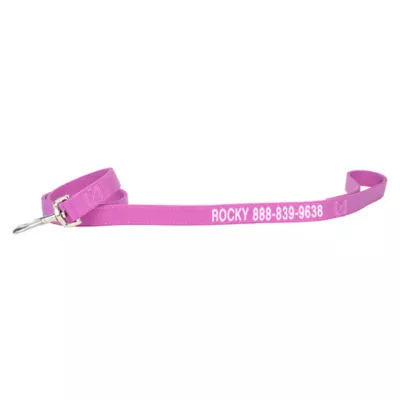 Coastal Pet Products Personalized Double Ply Nylon Dog Leash - Image 1