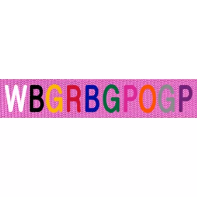 Coastal Pet Products Personalized Double Ply Nylon Dog Leash - Image 2