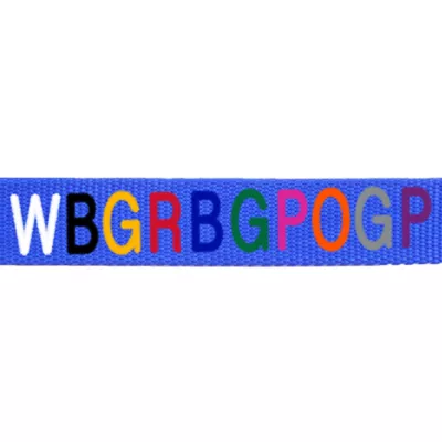 Product Coastal Pet Products Personalized Double Ply Nylon Dog Leash