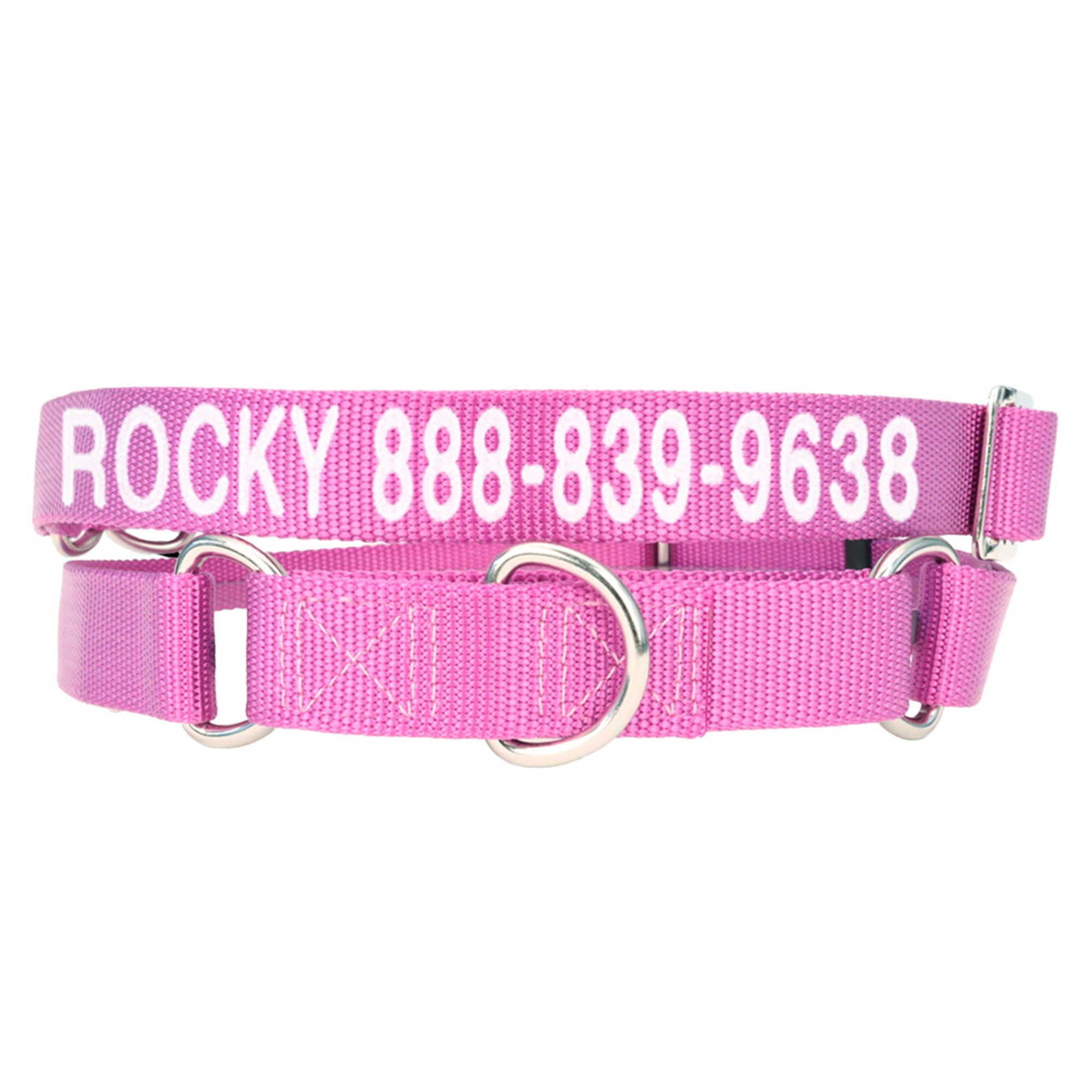 Coastal Pet Products Personalized Martingale Dog Collar in Orchid, Size: 14L x 0.75W | Nylon PetSmart