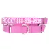 Coastal Pet Products Personalized Martingale Dog Collar image thumbnail 1
