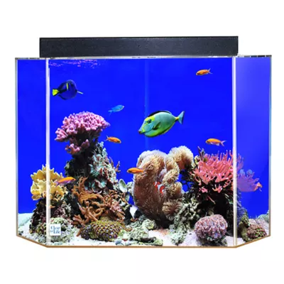 50 gallon fish tank best sale