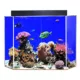 Product Clear-For-Life 50 Gallon Pentagon Aquarium