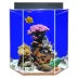 Clear-For-Life 55 Gallon Hexagon Aquarium image thumbnail 1