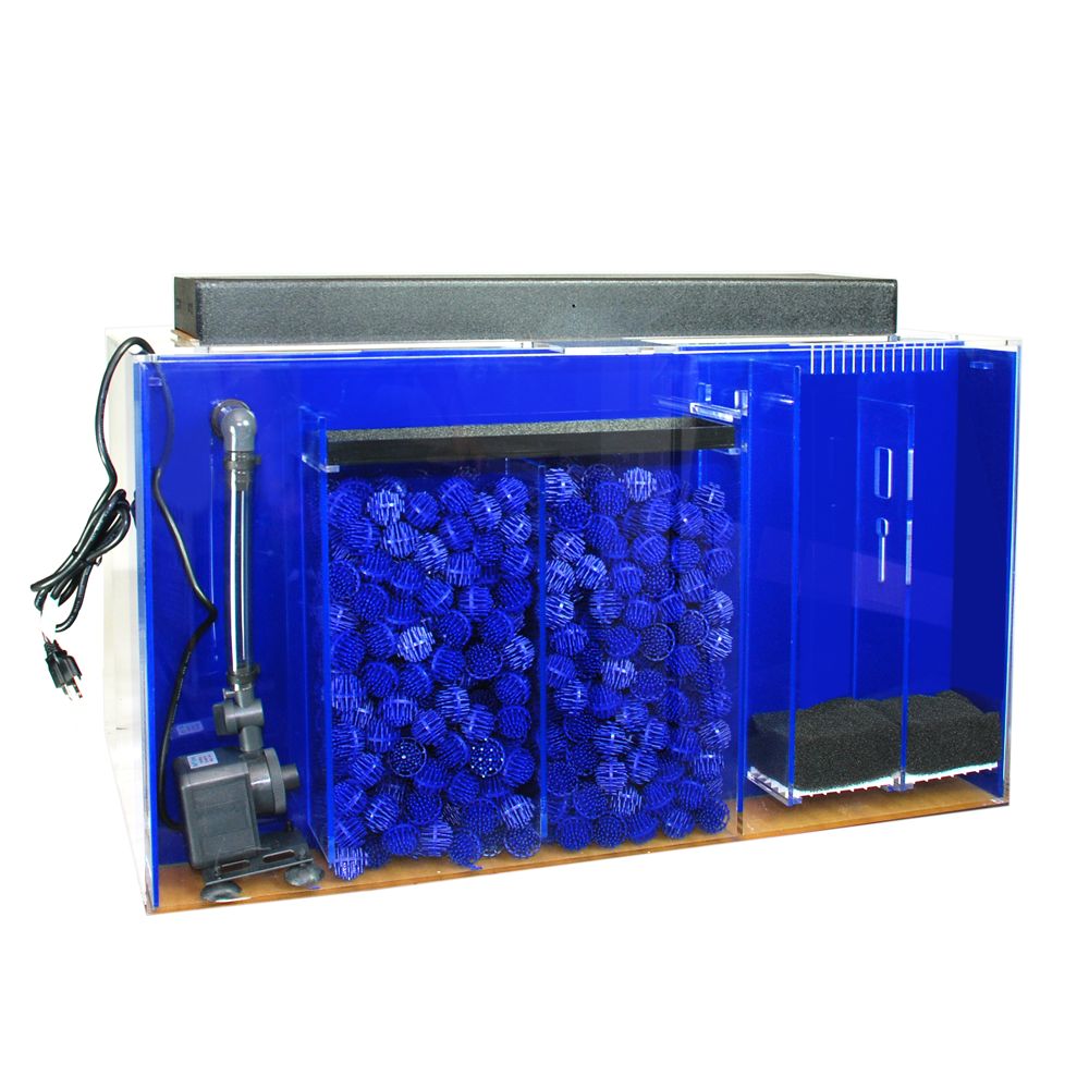 Clear for Life Rectangle 60 Gallon Acrylic Aquarium - Fresh or