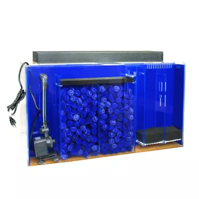 100 gallon acrylic aquarium best sale