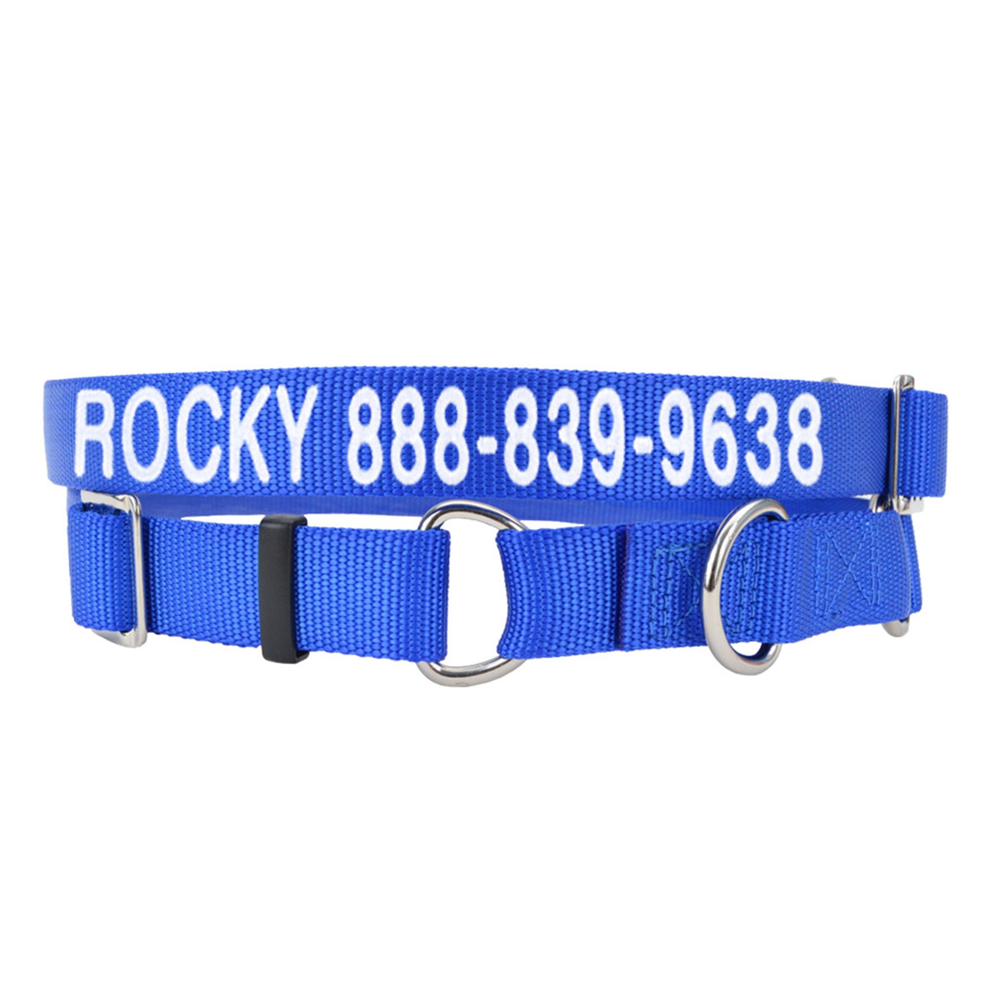 PetSmart Metal Dog Collars