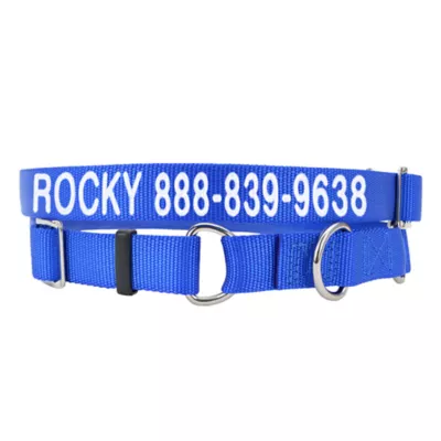 Coastal Pet Products Personalized Martingale Dog Collar - Image 1