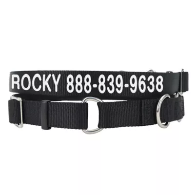 Coastal Pet Products Personalized Martingale Dog Collar - Image 1