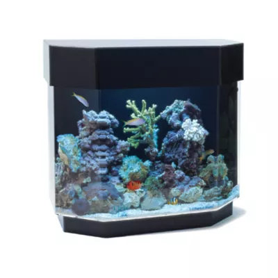 Product Clear-For-Life 12 Gallon Flat Back Hexagon UniQuarium