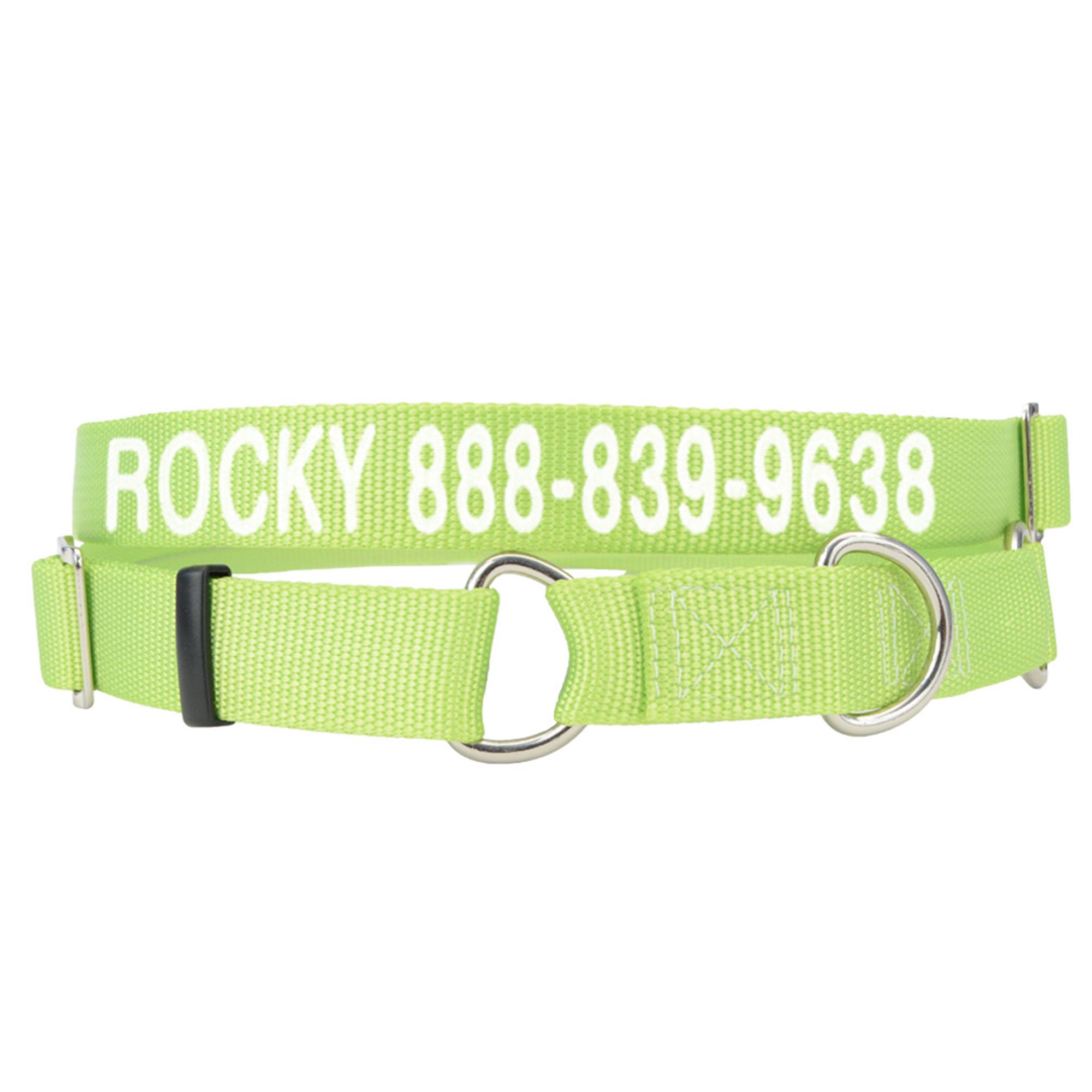 Martingale shop collar petsmart